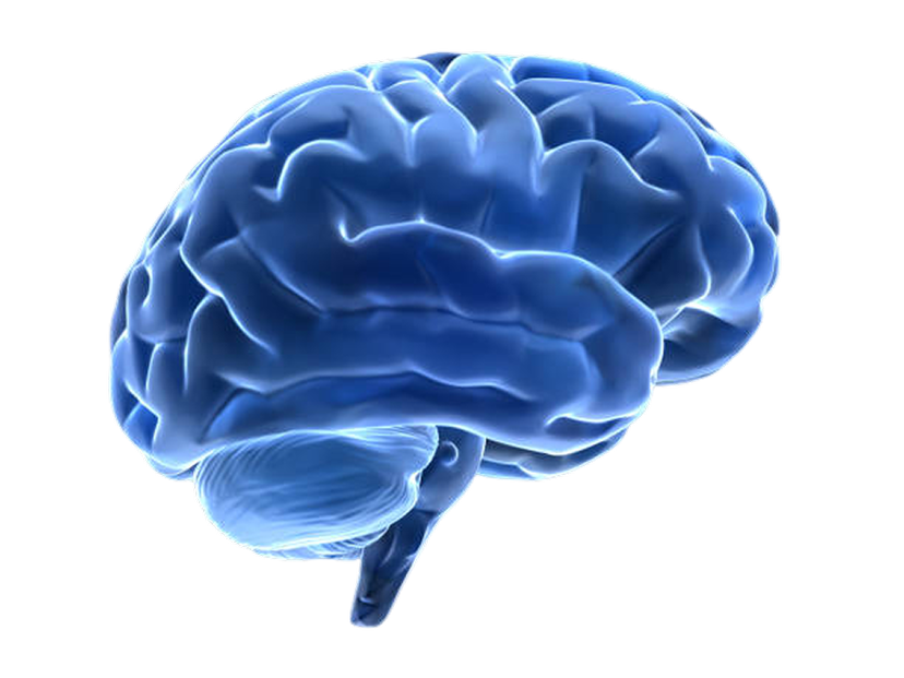 3D animated blue brain